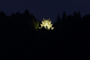 幻の霧ケ城（夜）ライトアップ